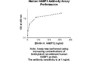 Image no. 2 for anti-Complement Component 1, Q Subcomponent Binding Protein (C1QBP) antibody (ABIN1803614) (C1QBP 抗体)