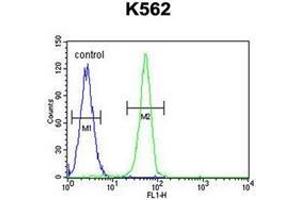 Flow Cytometry (FACS) image for anti-Pleckstrin Homology Domain Containing, Family A (phosphoinositide Binding Specific) Member 4 (PLEKHA4) (AA 28-58), (N-Term) antibody (ABIN954197)