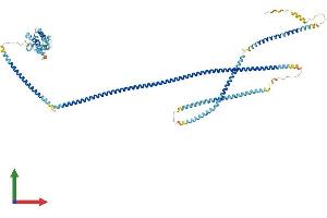 AlphaFold protein structure predicition of Human Recombinant HOOK1 Protein, UniprotID Q9UJC3