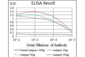 Black line: Control Antigen (100 ng), Purple line: Antigen(10 ng), Blue line: Antigen (50 ng), Red line: Antigen (100 ng), (ARHGDIA 抗体  (AA 1-204))