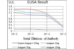 Red: Control Antigen (100ng) ; Purple: Antigen (10ng) ; Green: Antigen (50ng) ; Blue: Antigen (100ng). (Prosaposin 抗体  (AA 325-524))