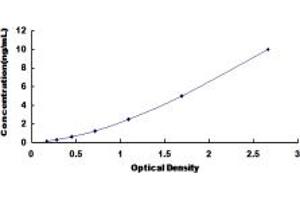 Typical standard curve (CCR1 ELISA 试剂盒)