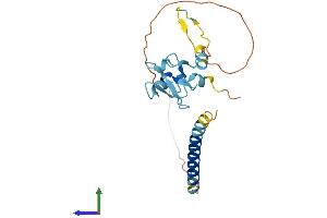 Protein Structure (PS) image for Ring Finger Protein 152 (RNF152) (AA 1-203) protein (His tag) (ABIN7551517)