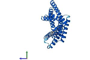 Protein Structure (PS) image for 14-3-3 zeta (YWHAZ) (AA 1-245) protein (His tag) (ABIN7551773)