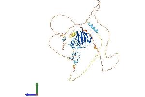 Protein Structure (PS) image for Aprataxin and PNKP Like Factor (APLF) (AA 1-499) protein (His tag) (ABIN7561112)