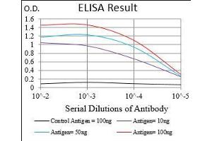 ELISA image for anti-Ferritin, Light Polypeptide (FTL) (AA 1-157) antibody (ABIN2682990)
