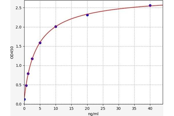 Apolipoprotein D ELISA 试剂盒