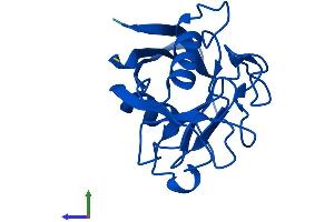 Protein Structure (PS) image for Peptidylprolyl Isomerase A (Cyclophilin A) (PPIA) (AA 1-165) protein (His tag) (ABIN7550883)