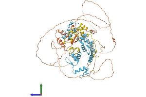 Protein Structure (PS) image for Zinc Finger and BTB Domain Containing 39 (ZBTB39) (AA 1-712) protein (His tag) (ABIN7545285)
