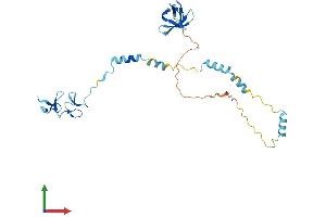 Protein Structure (PS) image for Nebulette (NEBL) (AA 1-270) protein (His tag) (ABIN7561314)