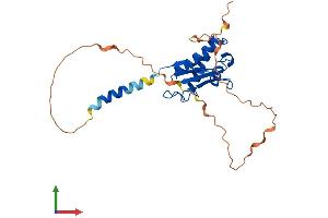 Protein Structure (PS) image for BTG Family, Member 3 (BTG3) (AA 1-252) protein (His tag) (ABIN7563369)