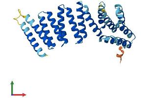 Protein Structure (PS) image for N-Ethylmaleimide-Sensitive Factor Attachment Protein, alpha (NAPA) (AA 1-295) protein (His tag) (ABIN7546134)