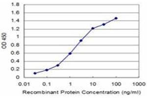 Detection limit for recombinant GST tagged FADD is approximately 0. (FADD 抗体  (AA 109-208))