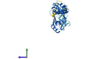 AlphaFold protein structure predicition of Mouse Recombinant Kctd9 Protein, UniprotID Q80UN1