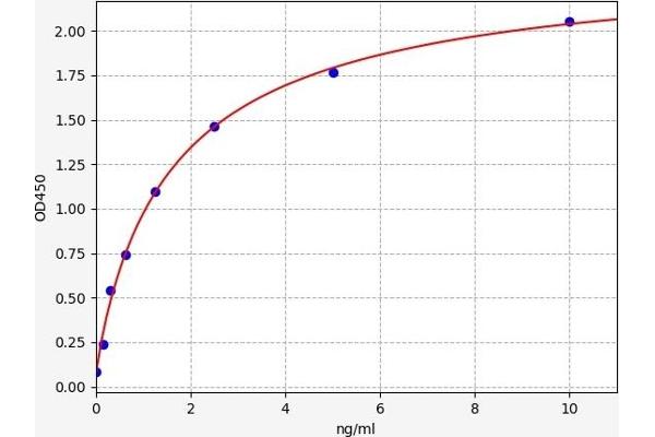 GSTT1 ELISA 试剂盒