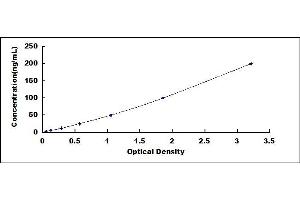 Typical standard curve (Anti-Tumor Necrosis Factor alpha Antibody (Anti-TNFa) ELISA 试剂盒)