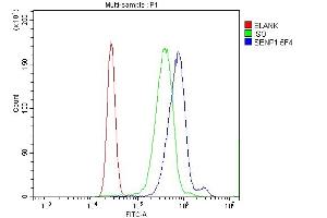 Flow Cytometry analysis of K562 cells using anti-SENP1 antibody (ABIN7600423).
