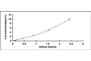 Typical standard curve (RUNX3 ELISA 试剂盒)