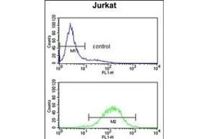 Flow Cytometry (FACS) image for anti-Complement Component 1, Q Subcomponent, B Chain (C1QB) (AA 55-81), (N-Term) antibody (ABIN652840)