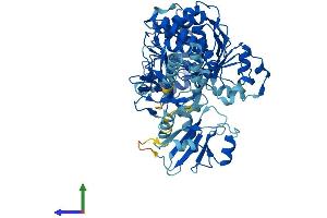 Protein Structure (PS) image for Solute Carrier Family 27 (Fatty Acid Transporter), Member 4 (SLC27A4) (AA 1-643) protein (His tag) (ABIN7555300)