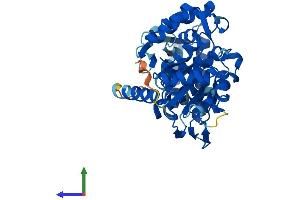 AlphaFold protein structure predicition of Human Recombinant SPO11 Protein, UniprotID Q9Y5K1