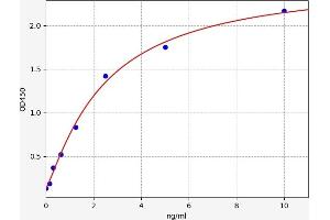 Typical standard curve (FKBPL ELISA 试剂盒)