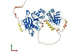 Protein Structure (PS) image for Suppressor of Fused Homolog (SUFUH) (AA 1-484) protein (His tag) (ABIN7565258)
