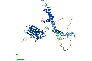 Protein Structure (PS) image for NudC Domain Containing 3 (NUDCD3) (AA 1-363) protein (His tag) (ABIN7559676)