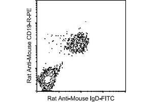 Flow Cytometry (FACS) image for Rat anti-Mouse IgD antibody (FITC) (ABIN356119) (大鼠 anti-小鼠 IgD Antibody (FITC))