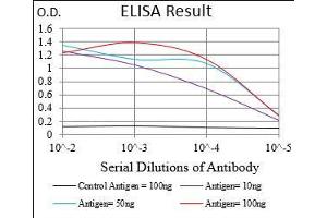 Black line: Control Antigen (100 ng), Purple line: Antigen(10 ng), Blue line: Antigen (50 ng), Red line: Antigen (100 ng), (RING1 抗体  (AA 79-263))