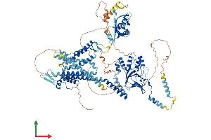 AlphaFold protein structure predicition of Human Recombinant KCNH5 Protein, UniprotID Q8NCM2 (KCNH5 Protein (AA 1-988) (His tag))