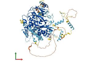 Protein Structure (PS) image for FIG4 Homolog, SAC1 Lipid Phosphatase Domain Containing (FIG4) (AA 1-907) protein (His tag) (ABIN7564799)
