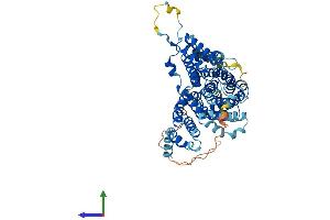 AlphaFold protein structure predicition of Mouse Recombinant Slc13a3 Protein, UniprotID Q91Y63 (SLC13A3 Protein (AA 1-600) (His tag))