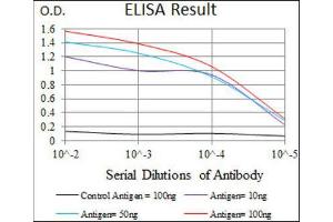 ELISA image for anti-Dynactin 4 (DCTN4) (AA 57-298) antibody (ABIN1843394) (Dynactin 4 抗体  (AA 57-298))