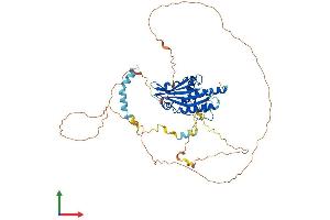 AlphaFold protein structure predicition of Human Recombinant ATG13 Protein, UniprotID O75143