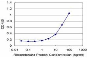 Detection limit for recombinant GST tagged ADAM20 is approximately 1ng/ml as a capture antibody. (ADAM20 抗体  (AA 268-358))