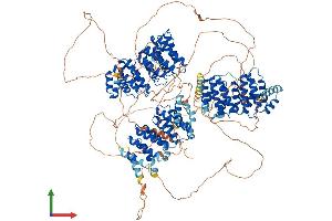 Protein Structure (PS) image for Cytoplasmic Linker Associated Protein 2 (CLASP2) (AA 1-1286) protein (His tag) (ABIN7564417)