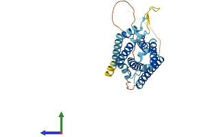 AlphaFold protein structure predicition of Human Recombinant HACD1 Protein, UniprotID B0YJ81 (PTPLA Protein (AA 1-288) (His tag))