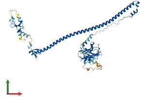 AlphaFold protein structure predicition of Mouse Recombinant Trim6 Protein, UniprotID Q8BGE7 (TRIM6 Protein (AA 1-488) (His tag))