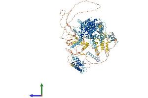 AlphaFold protein structure predicition of Mouse Recombinant Smarca2 Protein, UniprotID Q6DIC0 (SMARCA2 Protein (AA 1-1577) (His tag))