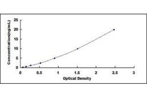 Typical standard curve (DPP10 ELISA 试剂盒)