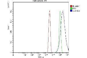 Flow Cytometry analysis of SiHa cells using anti-CEP250 antibody (ABIN7602053). (CEP250 抗体  (AA 563-853))