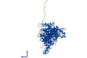 Protein Structure (PS) image for CTP Synthase II (CTPS2) (AA 1-586) protein (His tag) (ABIN7556689)