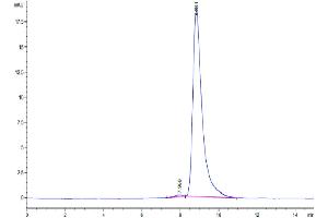 The purity of Biotinylated Human uPAR is greater than 95 % as determined by SEC-HPLC.