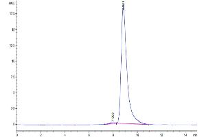 The purity of Biotinylated Human uPAR is greater than 95 % as determined by SEC-HPLC. (PLAUR Protein (AA 23-305) (His-Avi Tag,Biotin))