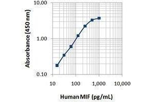 ELISA image for anti-Macrophage Migration Inhibitory Factor (Glycosylation-Inhibiting Factor) (MIF) antibody (ABIN2665272) (MIF 抗体)