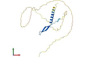 Protein Structure (PS) image for B-Cell CLL/lymphoma 7A (BCL7A) (AA 1-210) protein (His tag) (ABIN7560716)