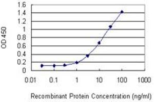 Detection limit for recombinant GST tagged SLMAP is 0. (SLMAP 抗体  (AA 677-784))