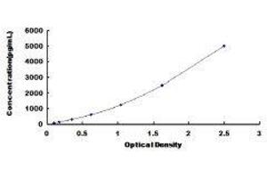 ELISA image for Protein C Receptor, Endothelial (PROCR) ELISA Kit (ABIN415362)