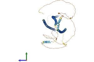 Protein Structure (PS) image for Shootin-1 (SHTN1) (AA 1-631) protein (His tag) (ABIN7555480)